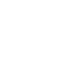 Cleanmo Service